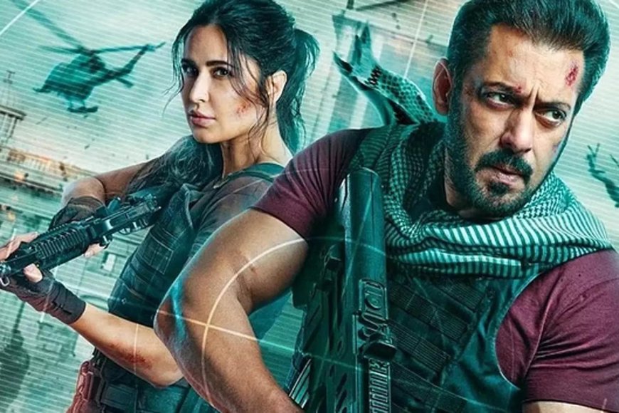 Salman Khan's Earnings: A Look at Tiger Film Series and Pathaan's Payday