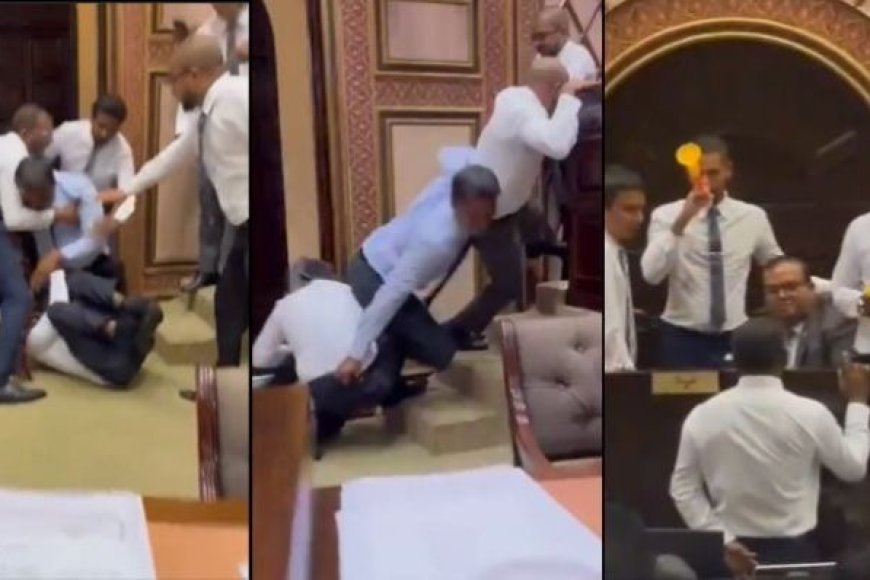 Video: Maldives Parliament in Chaos Over Cabinet Approval Dispute
