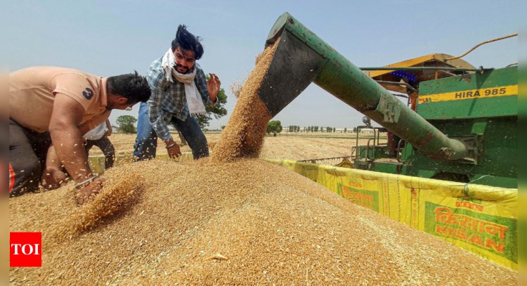 Latest inflation data sparked action to tame wheat prices