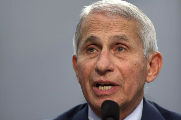 Anthony Fauci at a Loss When Asked About Biden's COVID
Vaccine Claim - Newsweek