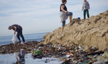 Peninsula floods News Update: Elevated tides cause Promontory floods, Seal Ocean side tainting