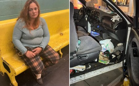 Mother Arrested for Abducting Eight Children from Foster Homes