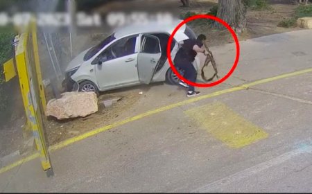 Exclusive Video: Israel Thwarts Hamas, Rescues Hostages in Unprecedented Operation