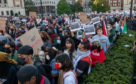 Harvard and Other Universities Face Backlash Over Gaza Conflict Response