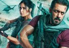 Salman Khan's Earnings: A Look at Tiger Film Series and Pathaan's Payday
