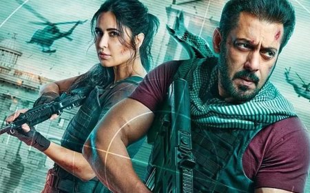 Salman Khan's Earnings: A Look at Tiger Film Series and Pathaan's Payday