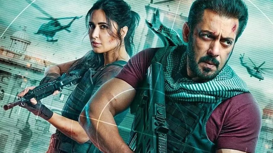 Salman Khan's Earnings: A Look at Tiger Film Series and Pathaan's Payday