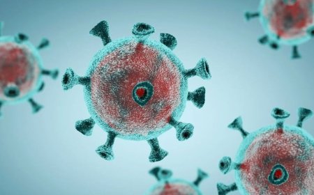 Latest on COVID Variant JN.1: What You Need to Know About Symptoms, Spread, and Vaccination
