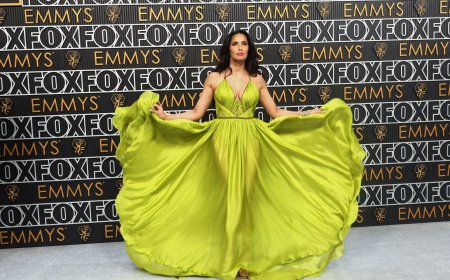 Glamour and Elegance: A Glimpse of Stunning Celebrities at the 75th Primetime Emmy Awards 2024