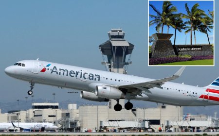 Six Hospitalized Following American Airlines Plane's Hard Landing at Maui Airport