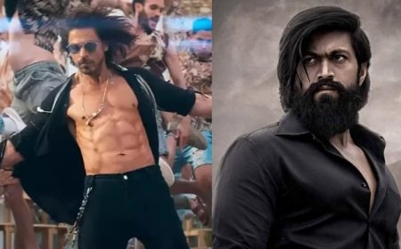 January 2024 Box Office Report: Hindi Films Witness 64% Dip Compared to Last Year