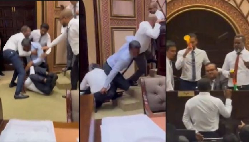 Video: Maldives Parliament in Chaos Over Cabinet Approval Dispute