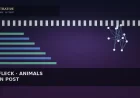 Ben Affleck Used AI 'for Lots of Things' on Netflix's Animals